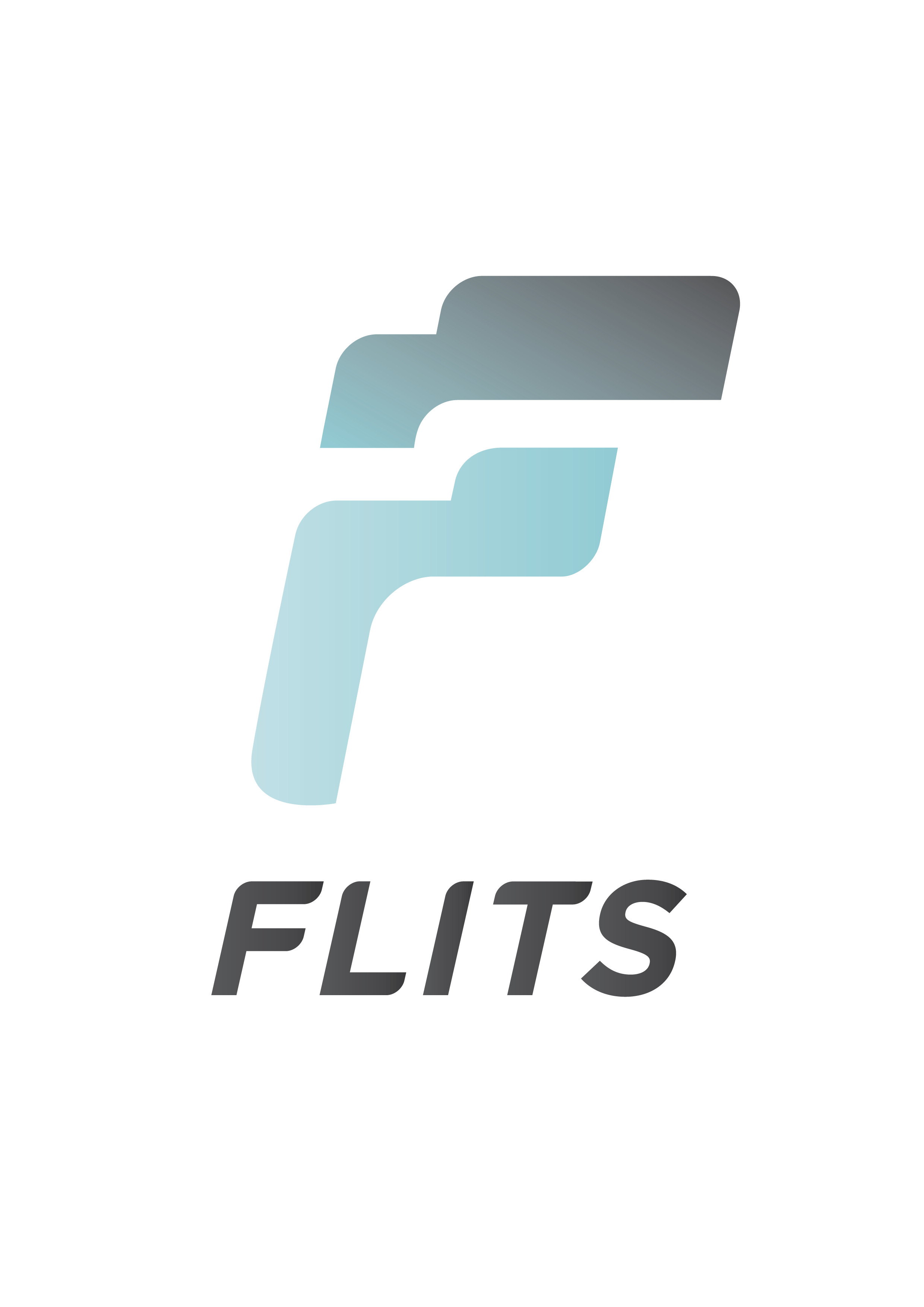 Flits logo
